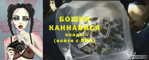 бошки Алексин