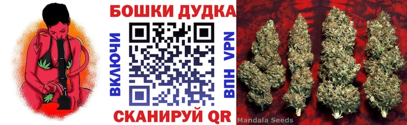 Бошки марихуана марихуана  Салехард 